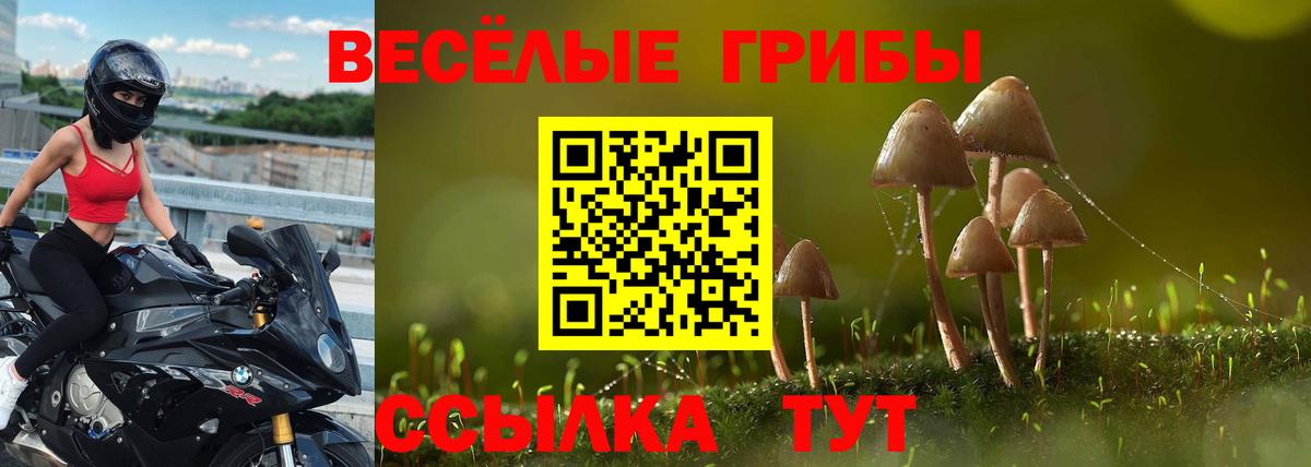 Псилоцибиновые грибы MAGIC MUSHROOMS Нерюнгри